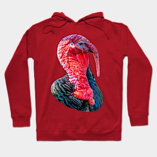 Tom Turkey Hoodie